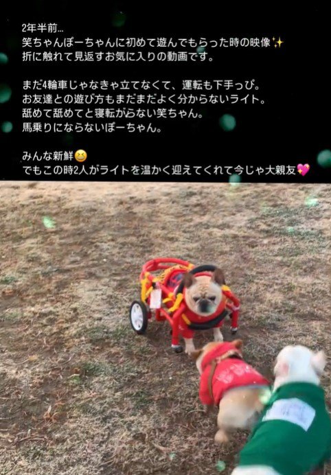 車椅子のライトくんとお友達7