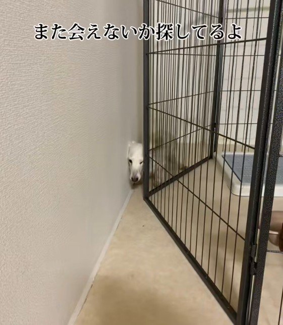 子供は今でも大好きだよ