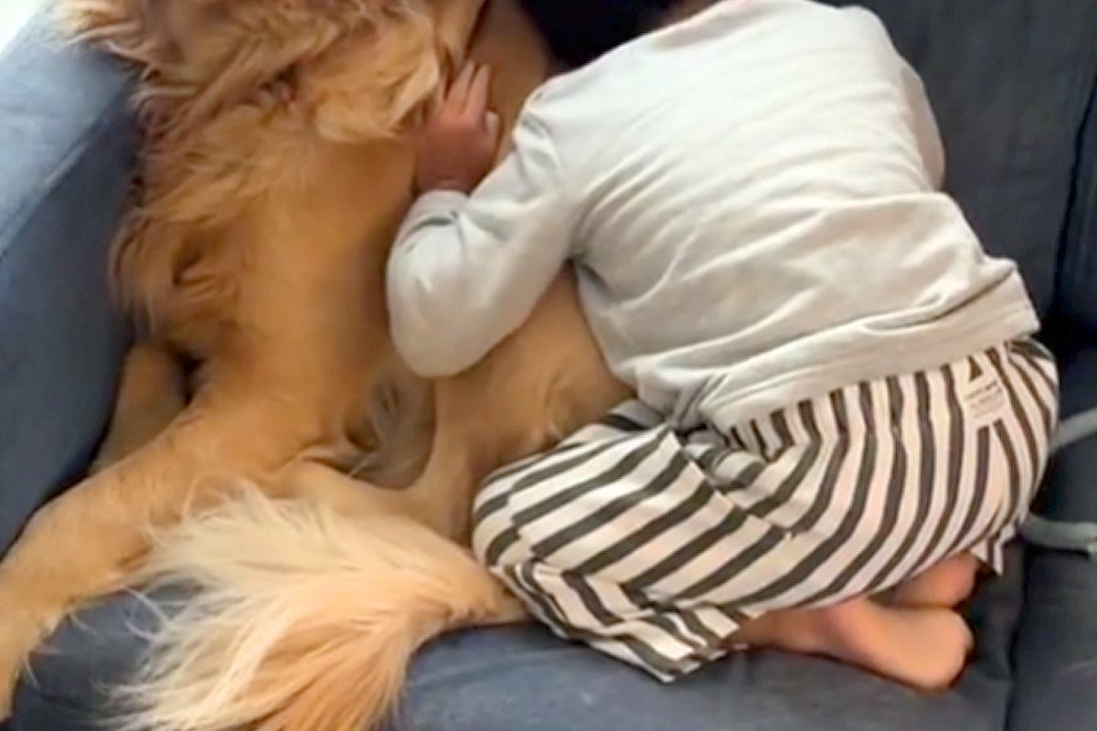 男の子と犬