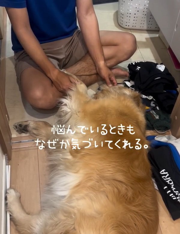横たわるきなこちゃん