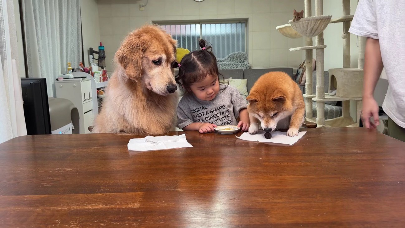 ちゃっかり者なうにくん