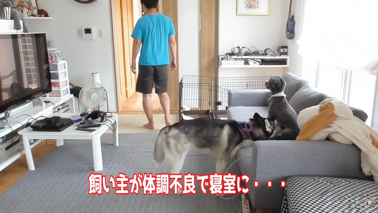 寝室で休むことに
