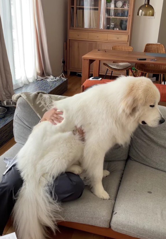 ほとんどはみ出ていても気にしない