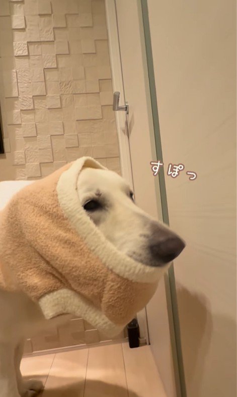 れお君の表情の変化