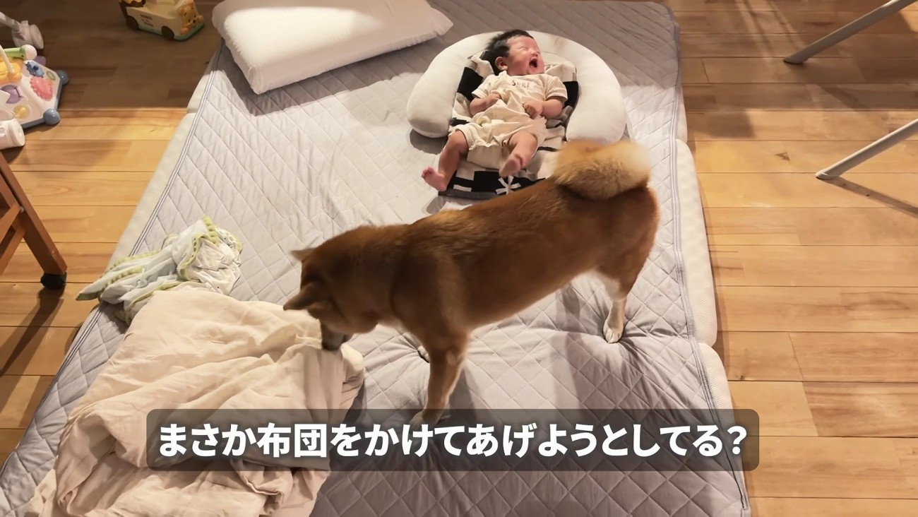 布団をかけようとしてる！？