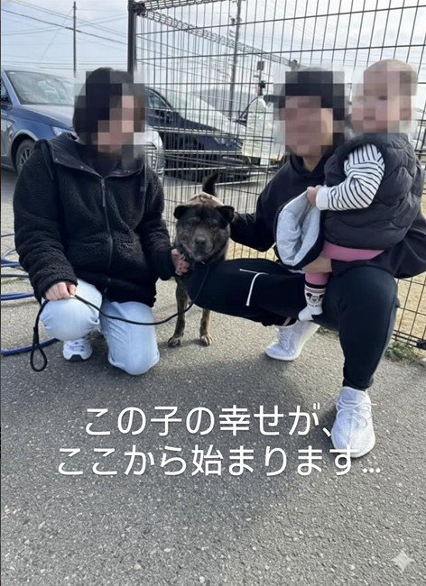 新しいご家族との出会い