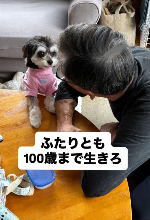 ニウちゃんとおじいちゃん⑩