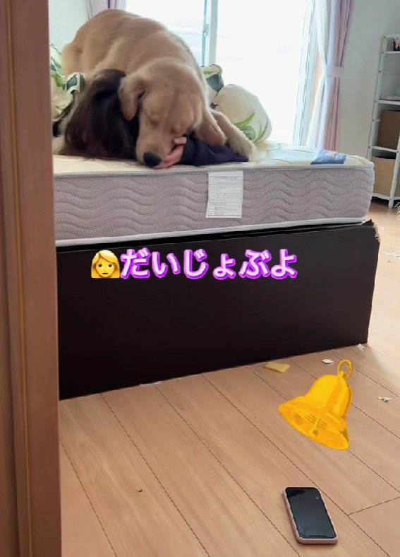 娘さんを起こすそなちゃん