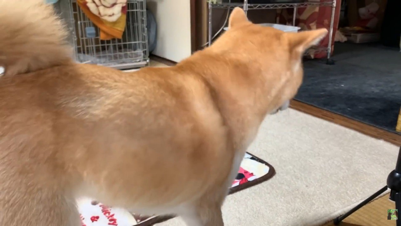 鼻息をフンッ
