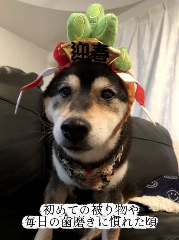 コスプレをする鶴ちゃん