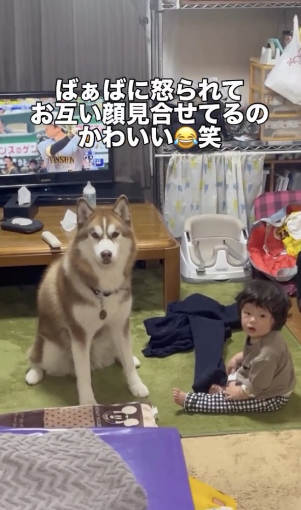 たまに喧嘩もするけれど