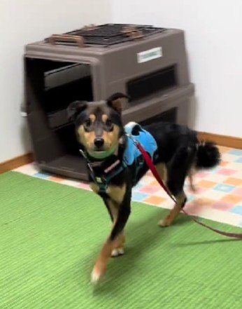 不安そうな表情