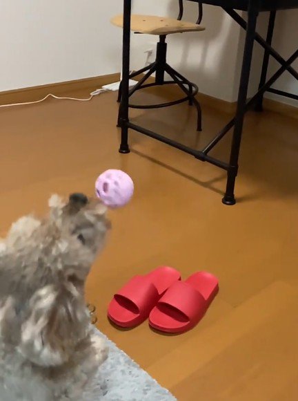 まだまだ現役！！