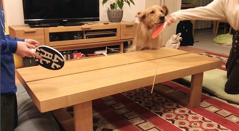 卓球をした時のビスコくん4