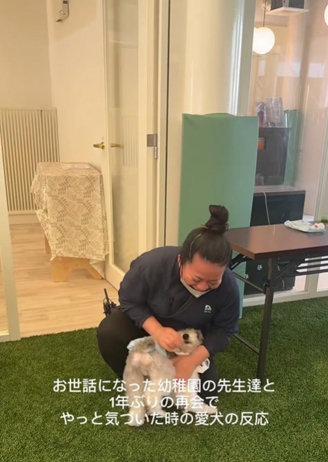 先生に駆け寄る小型犬