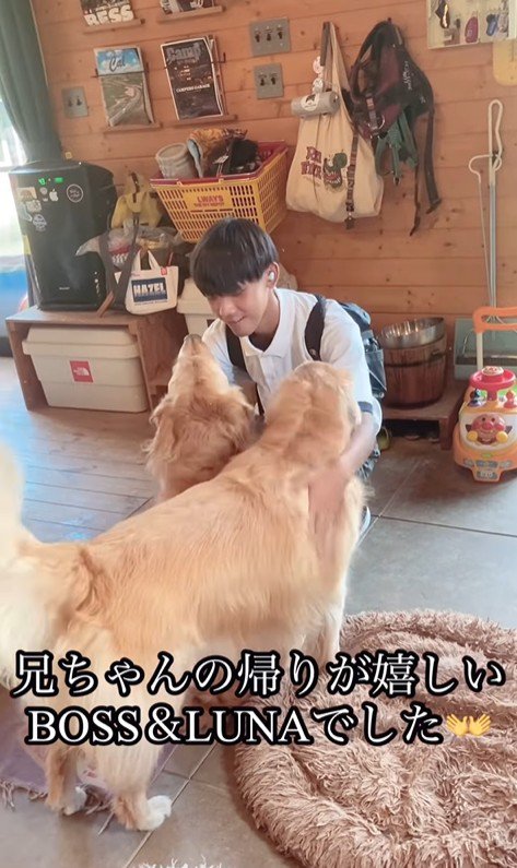 お兄ちゃん帰宅時のボスくん＆ルナちゃん⑩