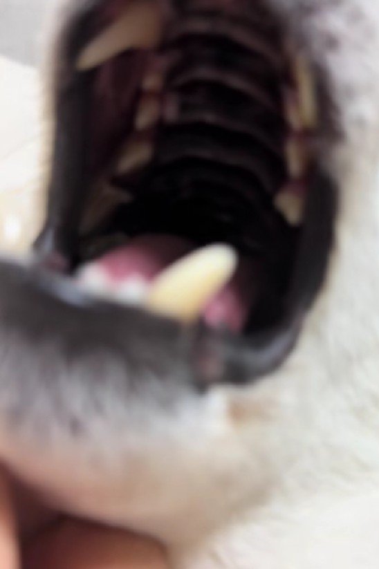 隅々までチェック完了♪