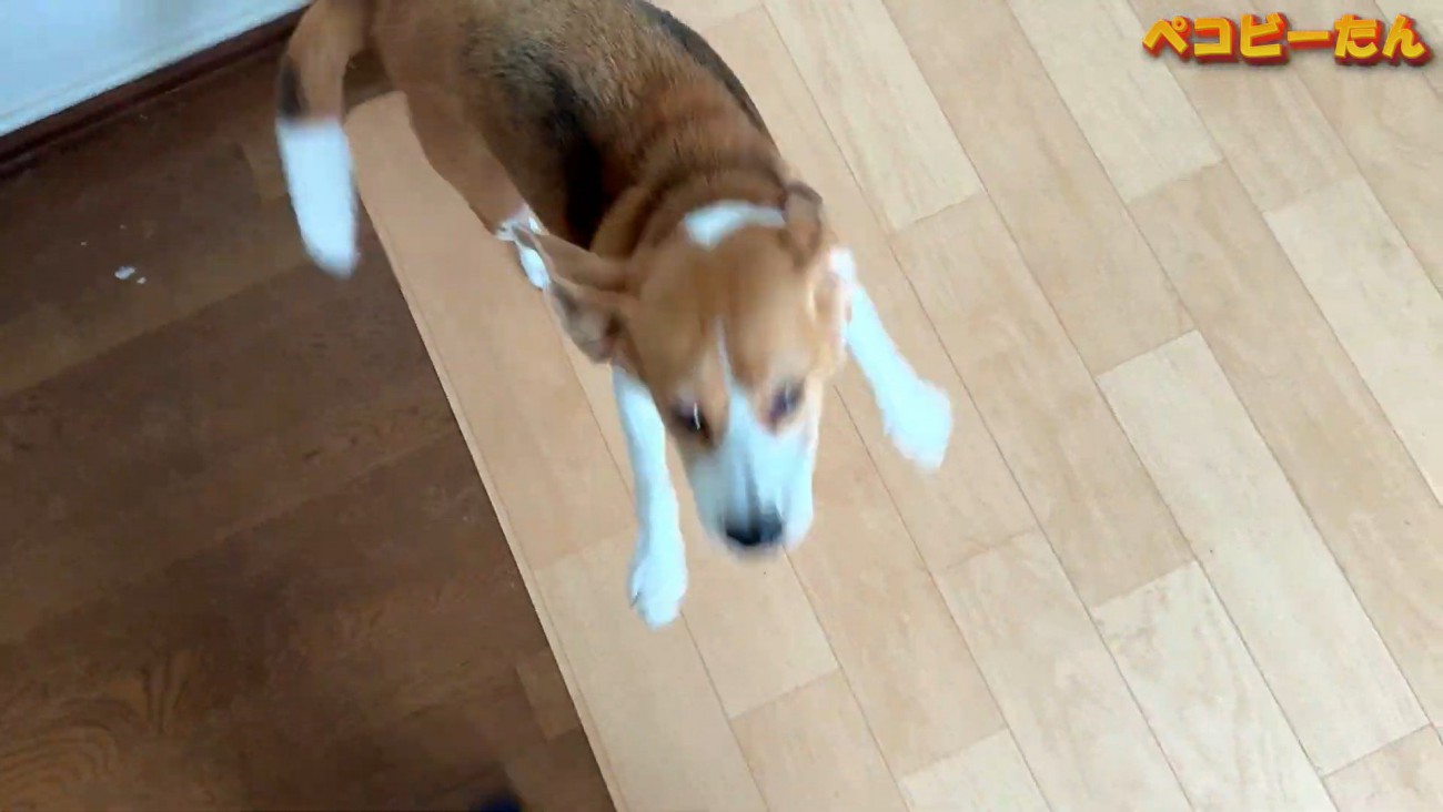 パパさんとママさんを熱烈大歓迎！