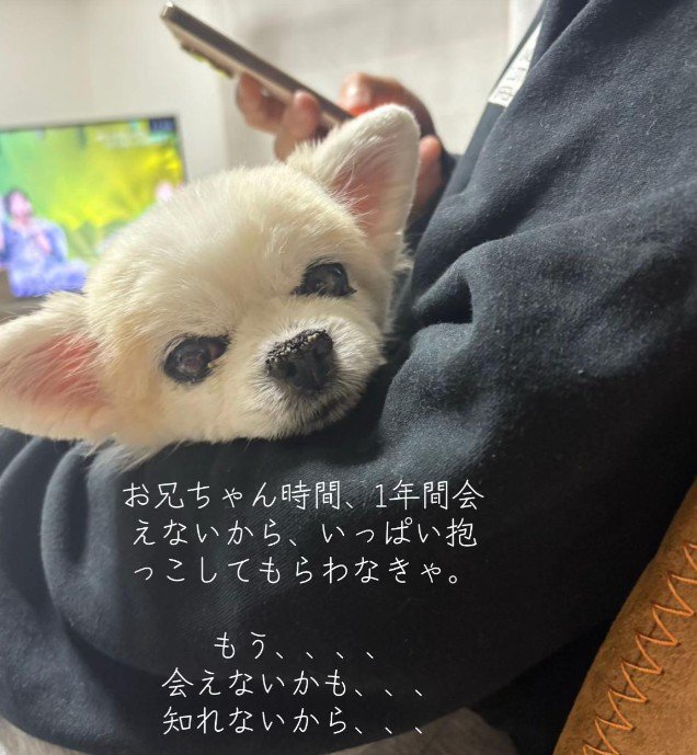 ずっと甘えていたそう