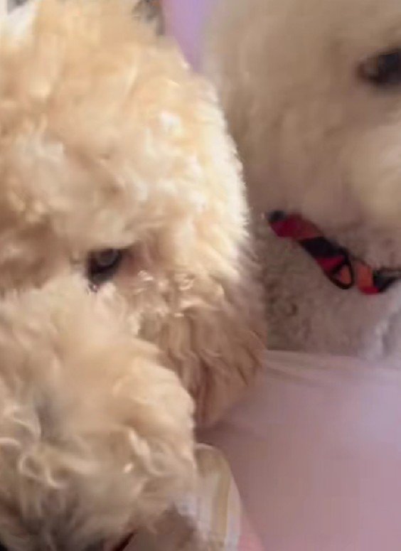 「もう朝だよ～！！」