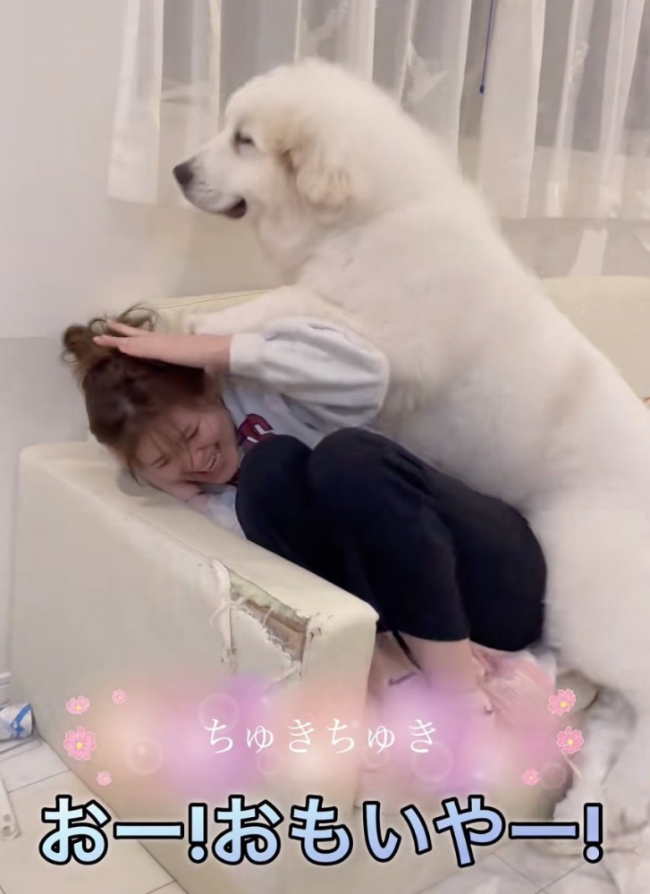 これからもっと大きくなります