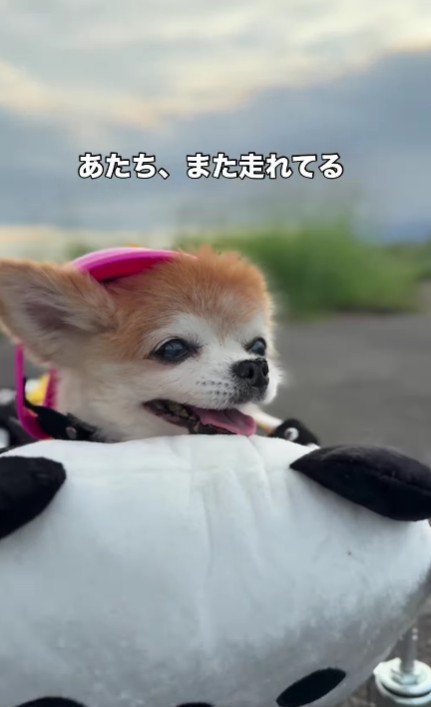 「まだまだ走れてる！！」