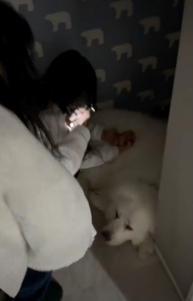 グラくん発見！