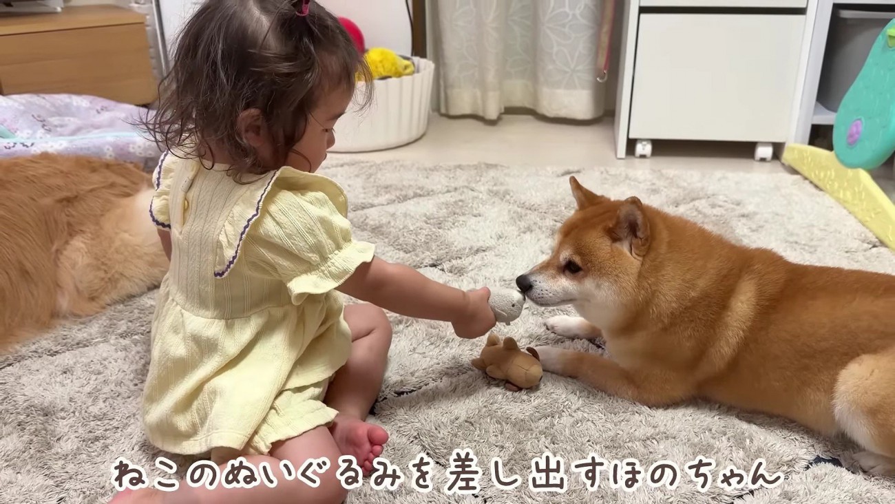 「これと交換しよう」