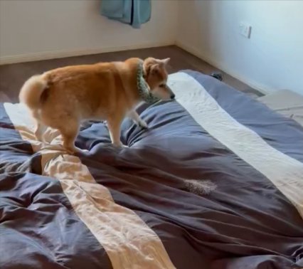 布団の上で