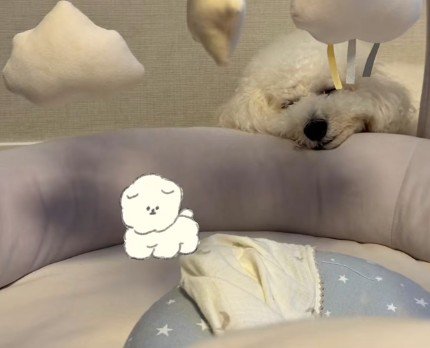 ハクちゃんはマイペース♪