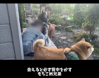 おこめくんをハグするおばあちゃん