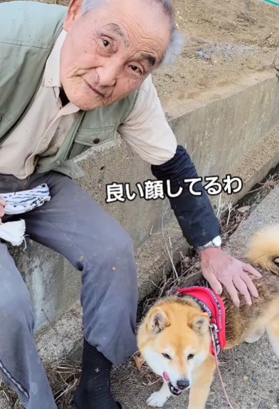 必ず立ち止まって撫でてくれる