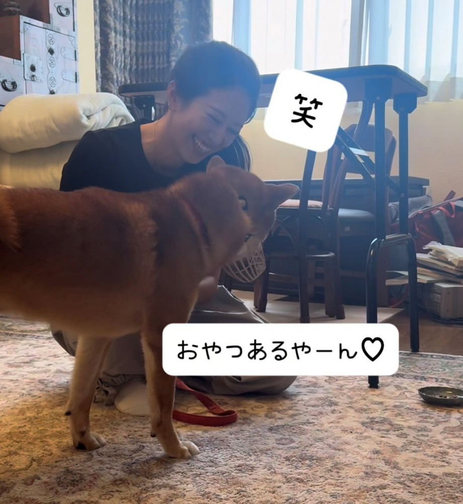 おやつを見つけた犬