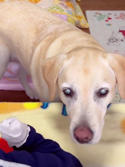 優しい表情にホッコリ