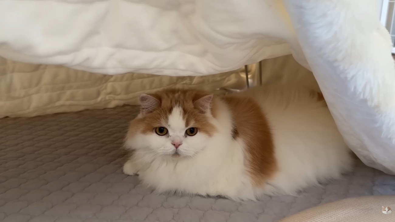 お気に召したようです♡