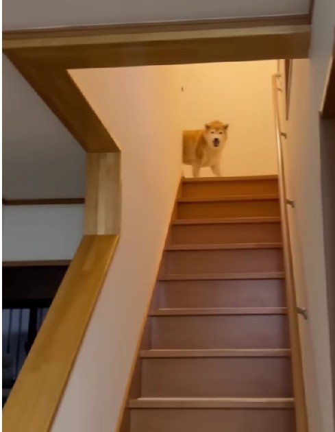 お姉ちゃんが帰宅すると…