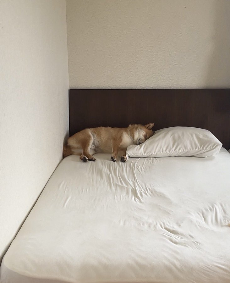 愛おしい