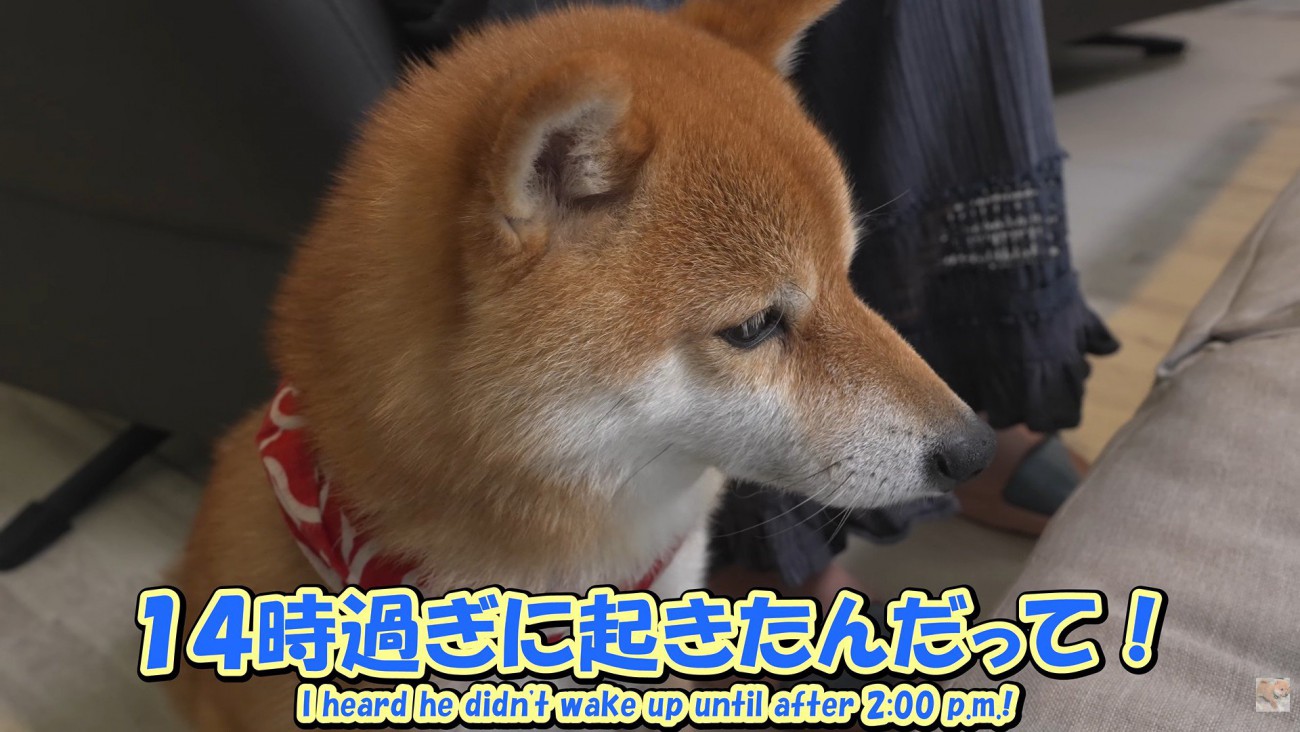 お兄ちゃんの寝坊を伝えたら…