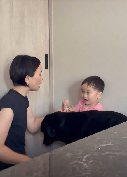 子どもに優しいどんちゃんでした