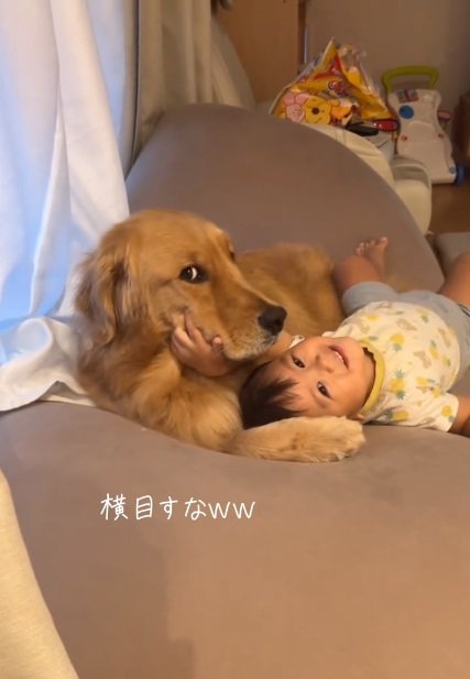 横目で見るこむぎくん