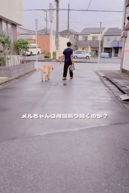 散歩するパパとメルくん