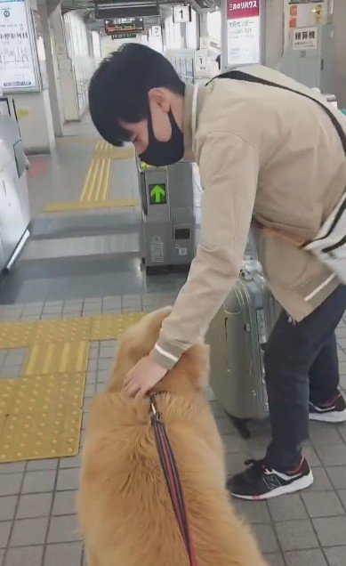 テンちゃんを撫でるお兄ちゃん