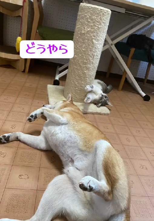 たきちちゃんにベッタリ♡