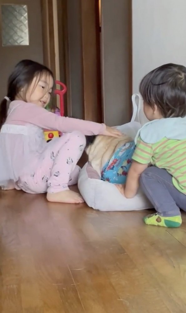 溺愛されてます…！