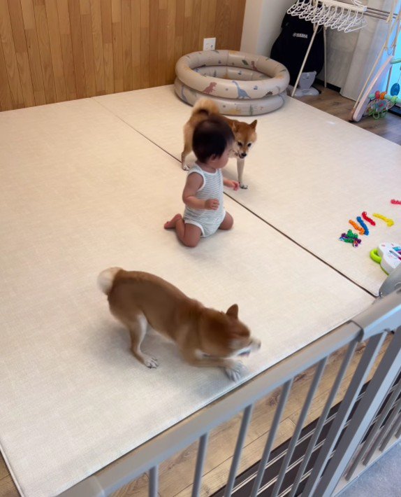 赤ちゃんが間に…！