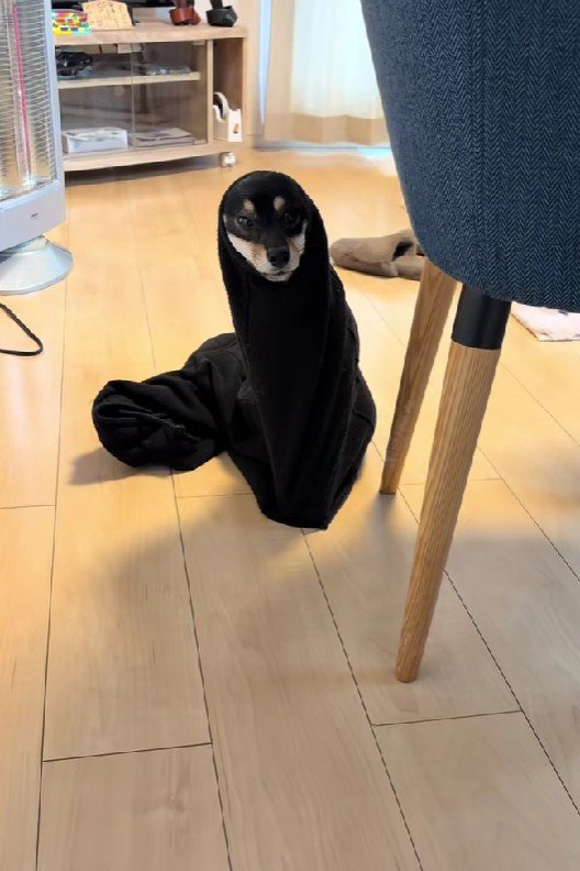 なんかいる！？