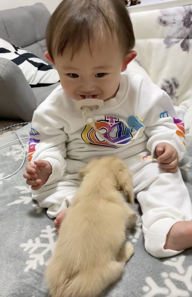 シンバを優しく受け入れてます