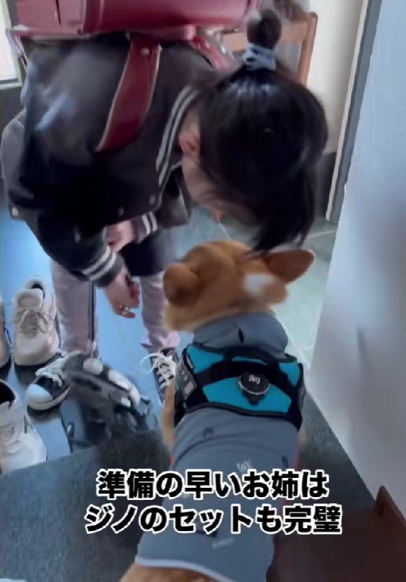 一緒にお散歩に行くことに