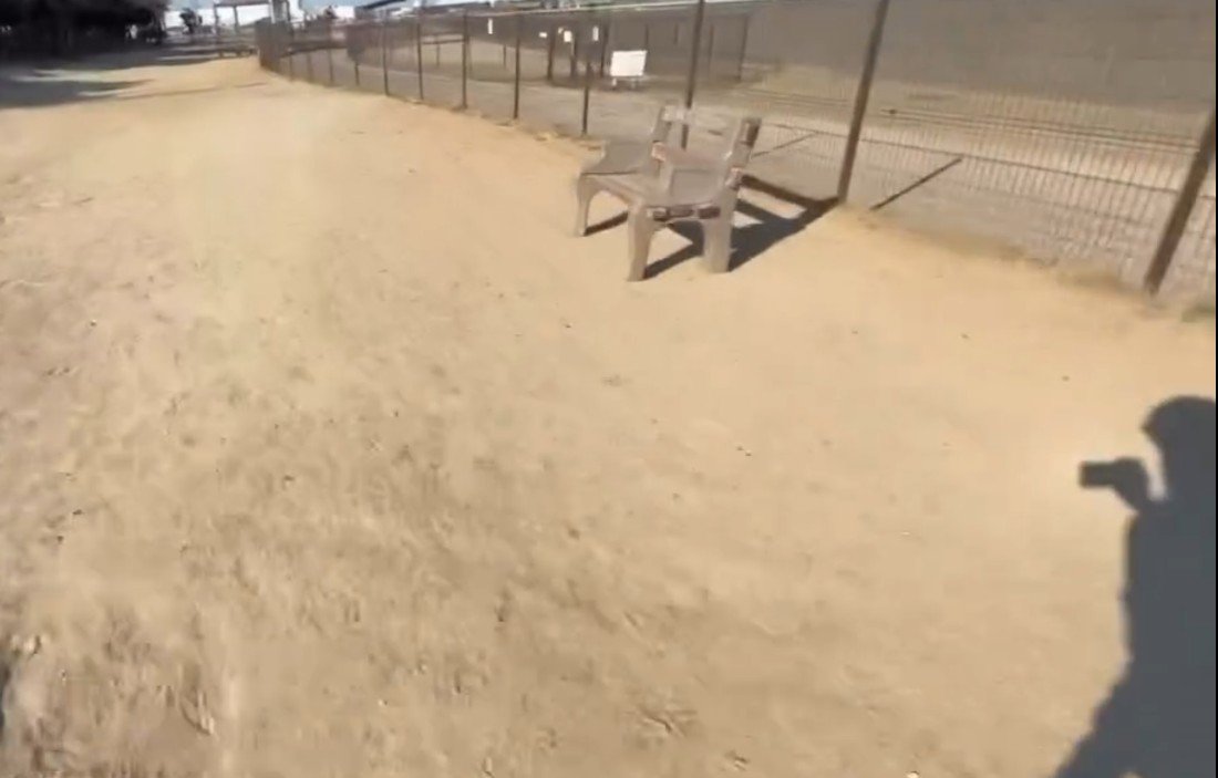 パパから送られてきた映像