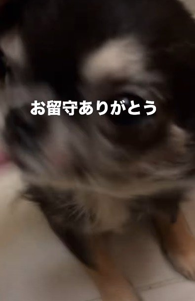 ササちゃんがいるから頑張れる
